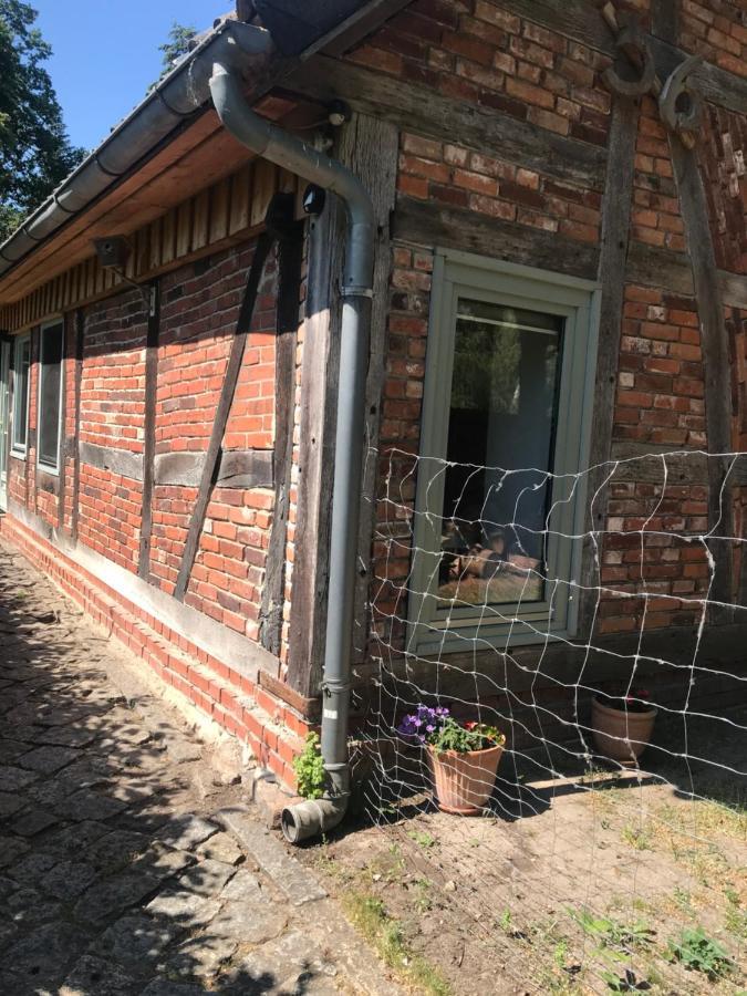 Gemuetliche Ferienwohnung An Der Elbe Bleckede Exterior foto