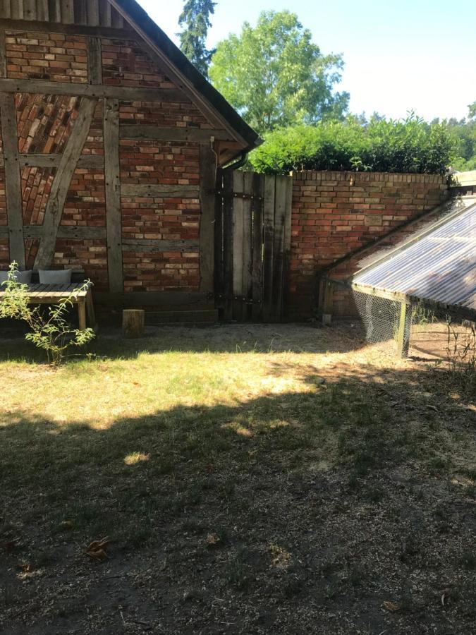 Gemuetliche Ferienwohnung An Der Elbe Bleckede Exterior foto